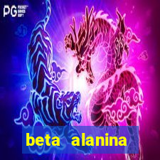 beta alanina aumenta a pressao